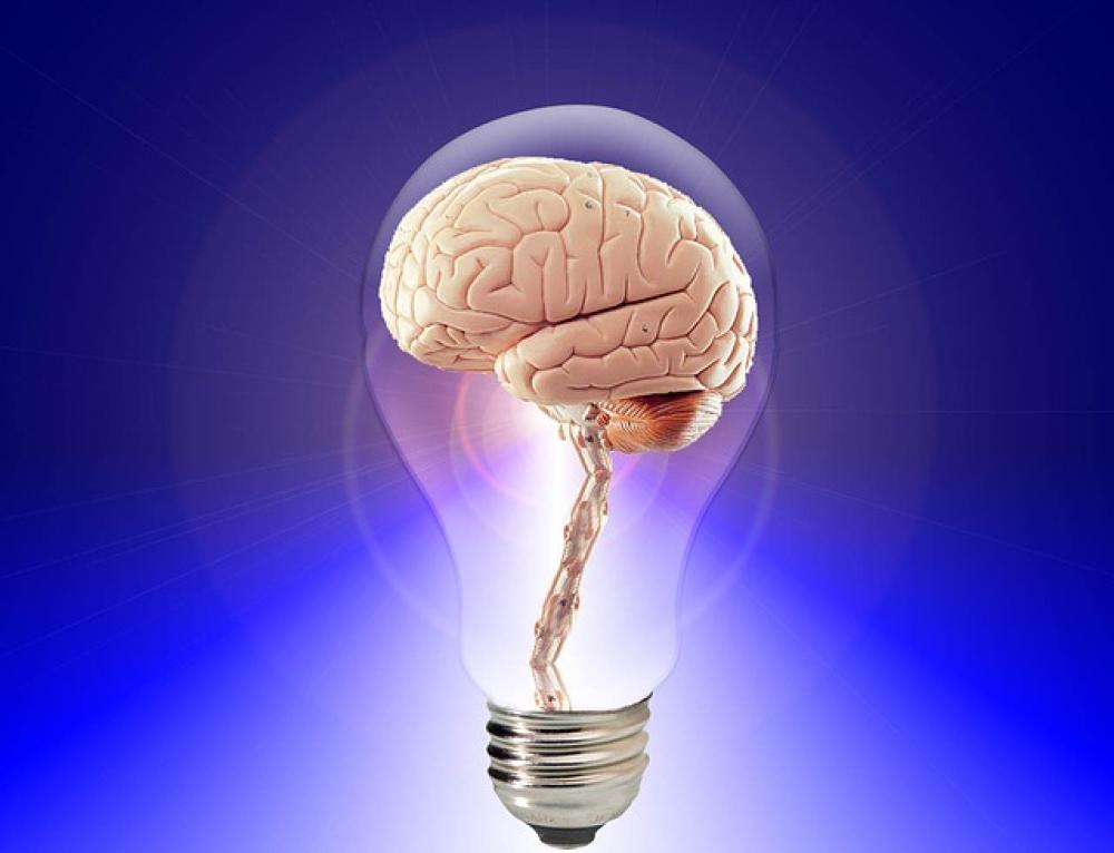 Different learning styles: visual, aural, kinesthetic, reading and writing